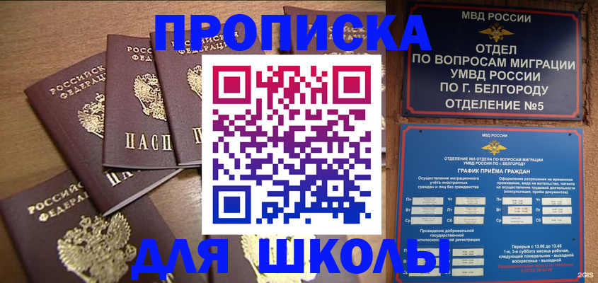 прописка гарантия в Пензе